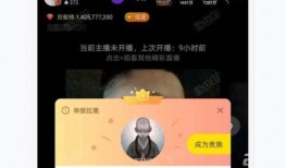 验房哥爆料花花视频,花花视频背后的惊人真相
