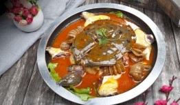 麻辣甲鱼爆料视频教程完整版,一招掌握正宗川菜精髓
