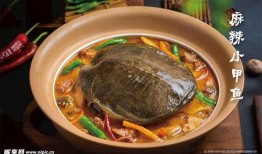 麻辣甲鱼爆料视频教程完整版,一招掌握正宗川菜精髓